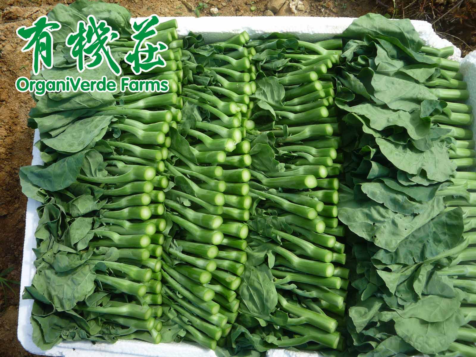 关于有机的迷思